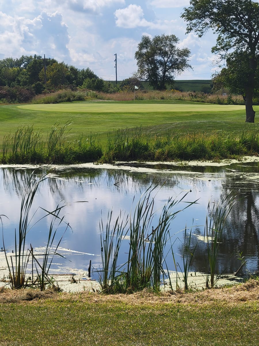 Pond and putting green on the Good Shot golf course
